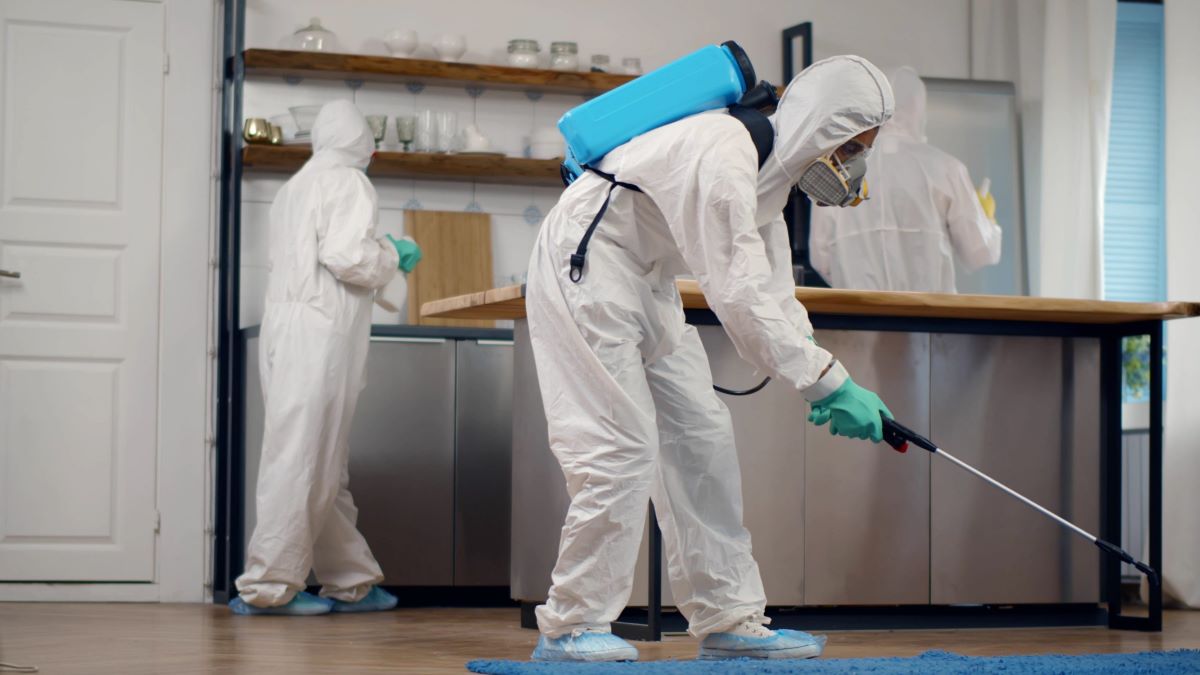 Pest Control Company in Lucknow