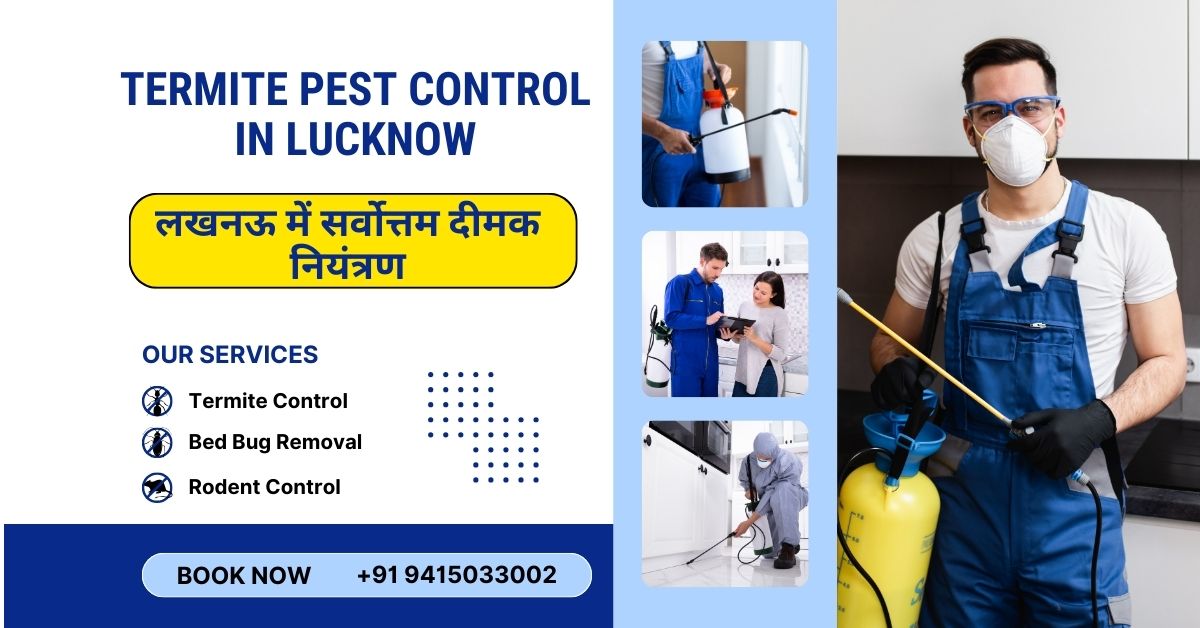 Termite Pest Control in Lucknow